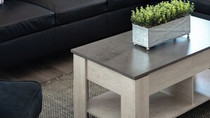 A modern living room with a dark leather sofa, a wooden coffee table, and a potted plant.