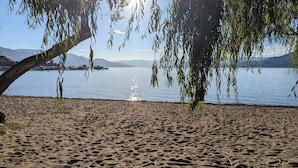 A sandy beach with a tree in the foreground and a calm lake in the background.