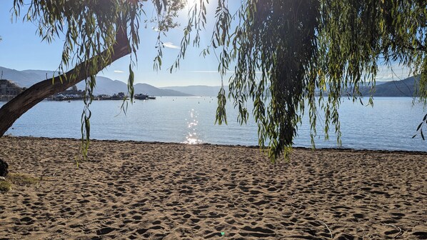Una playa arenosa con un árbol en primer plano y un lago tranquilo al fondo.