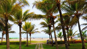 Un sendero bordeado de palmeras que conduce a una zona de playa con gente y un coche amarillo.