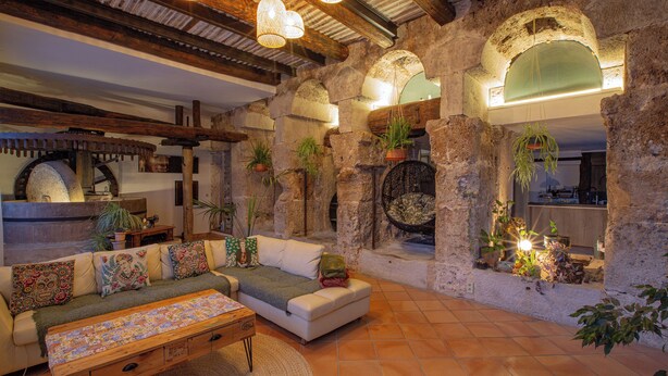A cozy living room with a sofa, a coffee table, and various plants. There are stone walls and wooden beams. - Moulin Lombard B&B (Les Arcs-sur-Argens)