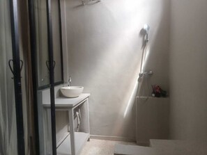 Shower, towels, soap, toilet paper
