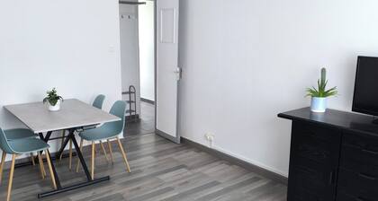 APART 1 located 100 m from the beach