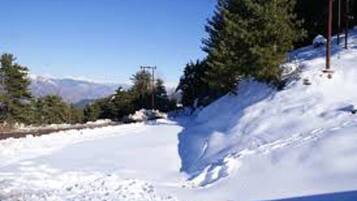 เดินเที่ยวบนหิมะ