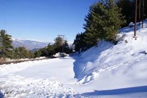 Snowshoeing
