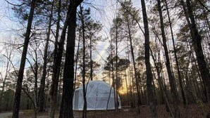 Una tienda blanca en un bosque con árboles altos y cielo despejado.