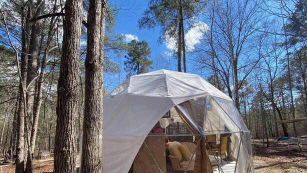 Tienda en forma de cúpula geométrica en un bosque con árboles y cielo despejado.