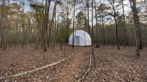 Una tienda de forma abovedada en un bosque.