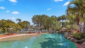 Une piscine aux eaux cristallines, à bords incurvés, entourée de palmiers et bordée d’un chemin en briques.