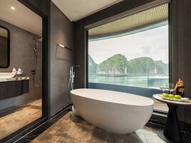 Minibar, escritorio, wifi gratis y acceso para silla de ruedas 