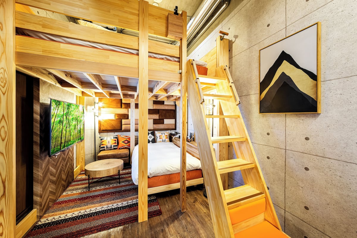 A room with a bunk bed, a ladder, a TV, a sofa, and a painting on the wall.
