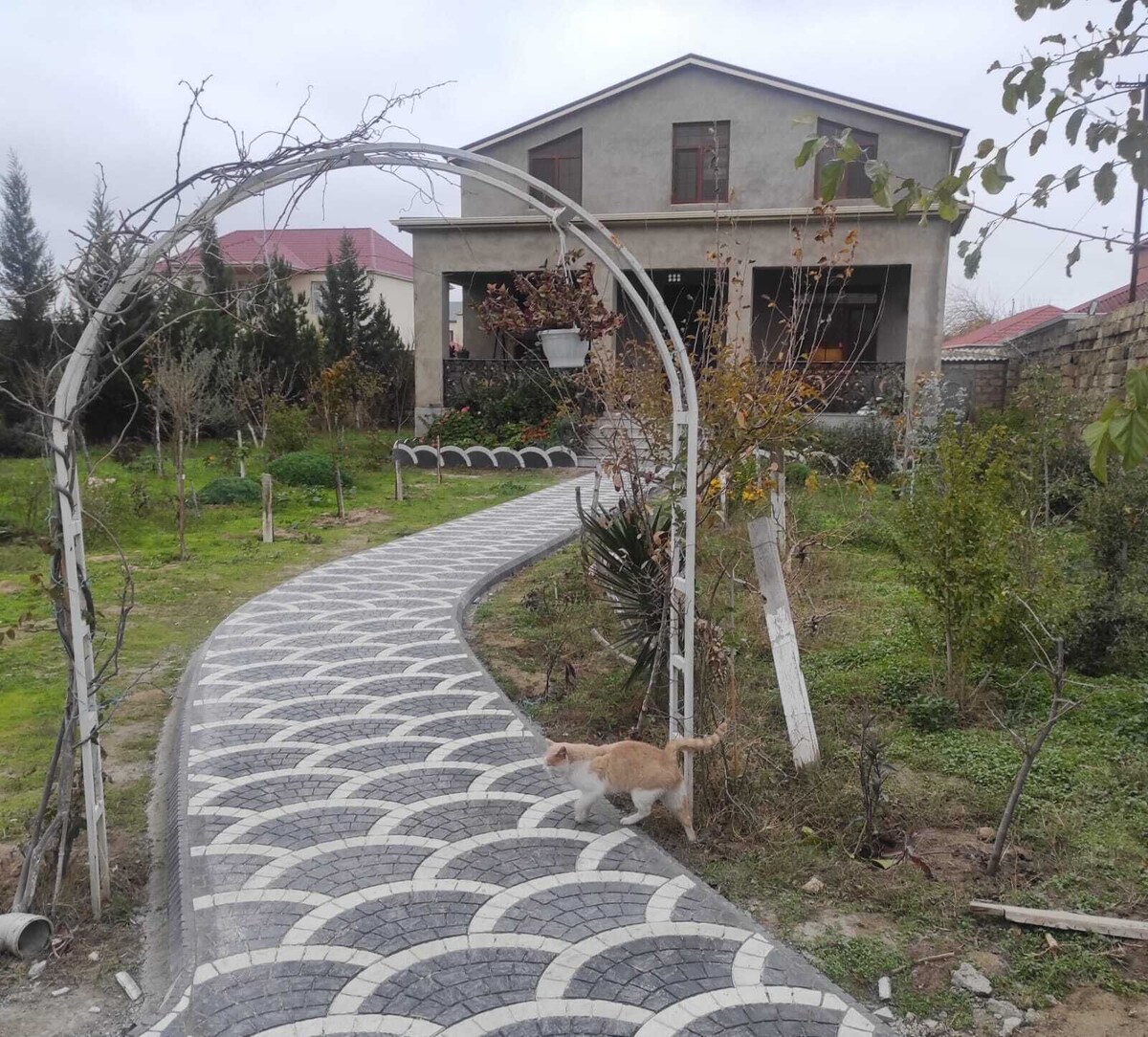 Image de profil de l’hôte