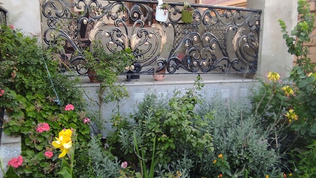 A balcony with ornate black metal railings, potted plants, and a variety of flowering plants.