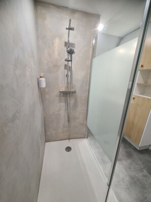 Sèche-cheveux, savon, papier toilette