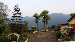 A residential area with a paved driveway, a small gazebo, and a variety of trees including a tall conifer and a large bushy tree.