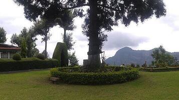 A house with a well-maintained lawn, a large tree, and a mountain in the background.