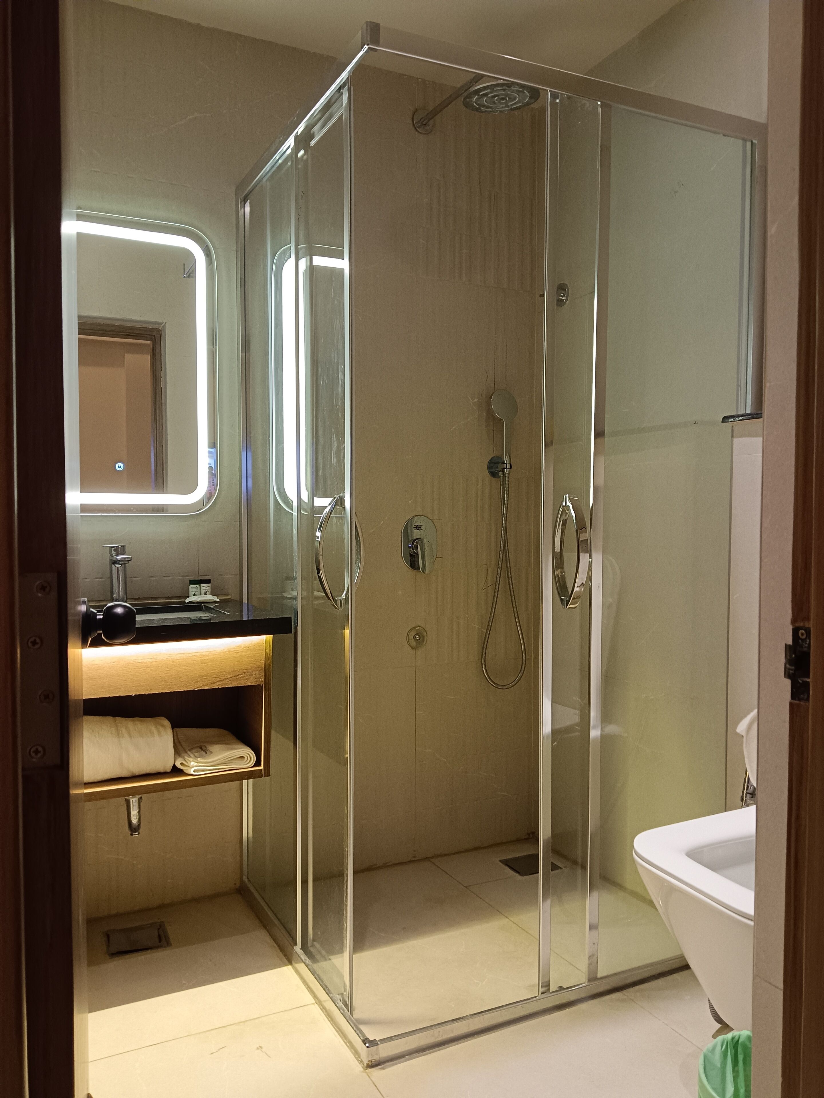 A modern bathroom with a glass-enclosed shower, a sink with a mirror, and a toilet.