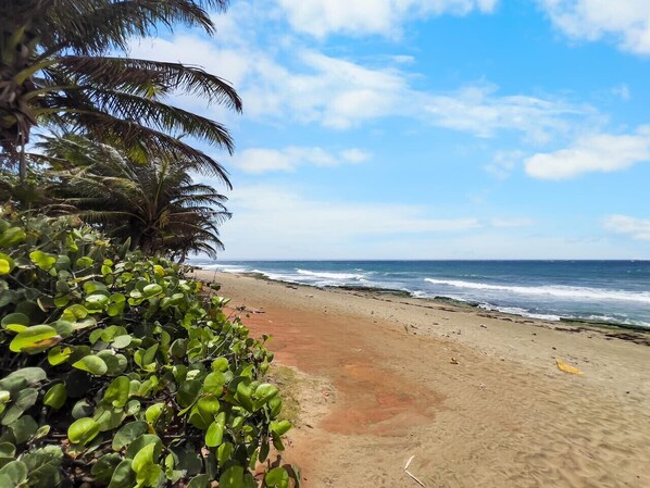 Beach nearby