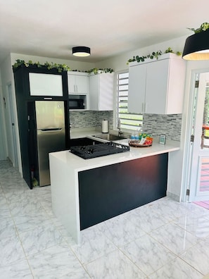 Fridge, microwave, stovetop, coffee/tea maker
