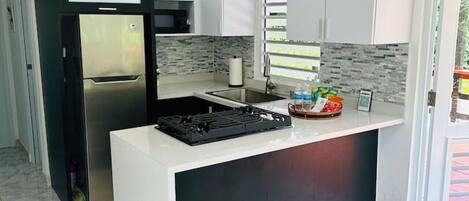 Fridge, microwave, stovetop, coffee/tea maker