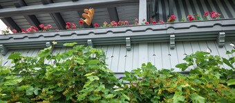 Chalet 'Near Marktbreit' with Private Terrace, Private Garden and Wi-Fi