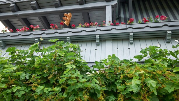Een gebouw met een grijze gevel, een balkon met rode bloemen en groen bladerdak op de voorgrond.
