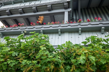 Exterior detail. Chalet 'Near Marktbreit' with Private Terrace, Private Garden and Wi-Fi