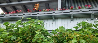Chalet 'Near Marktbreit' with Private Terrace, Private Garden and Wi-Fi