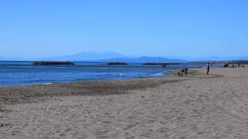 A beach with a clear sky, distant mountains, and a few people and dogs on the sand.