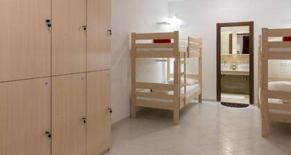 Hostel Free Bird - Bed in Six Bed Female Dormitory Room Zenska