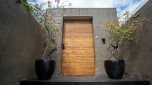 A wooden door with a concrete wall, two large black planters with flowering plants, and a small window to the right. - VILLA NANDI (Kerobokan)