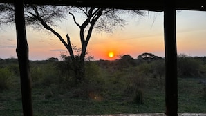 Une vue sur le coucher de soleil, prise depuis une structure en bois dotée d’une rambarde métallique, donnant sur un champ herbeux parsemé d’arbres et d’arbustes.