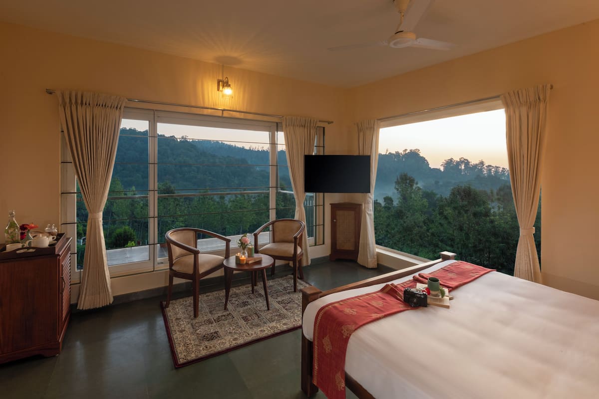 A hotel room with a large bed, a TV, a desk with a chair, and a view of the forest through the windows.