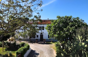 Front of property