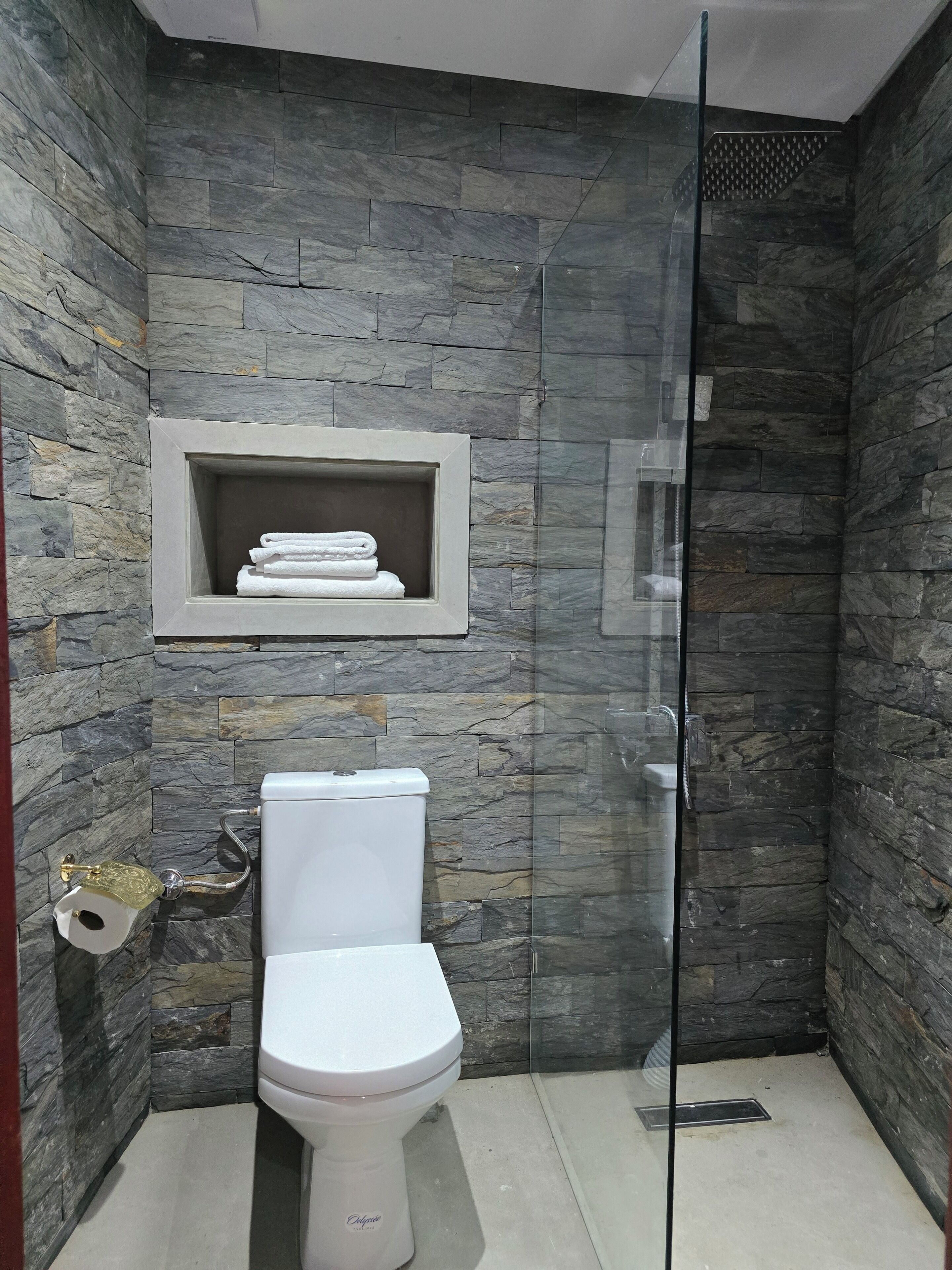 Un baño con pared de piedra, cabina de ducha con mampara de vidrio, inodoro y estante con toallas.