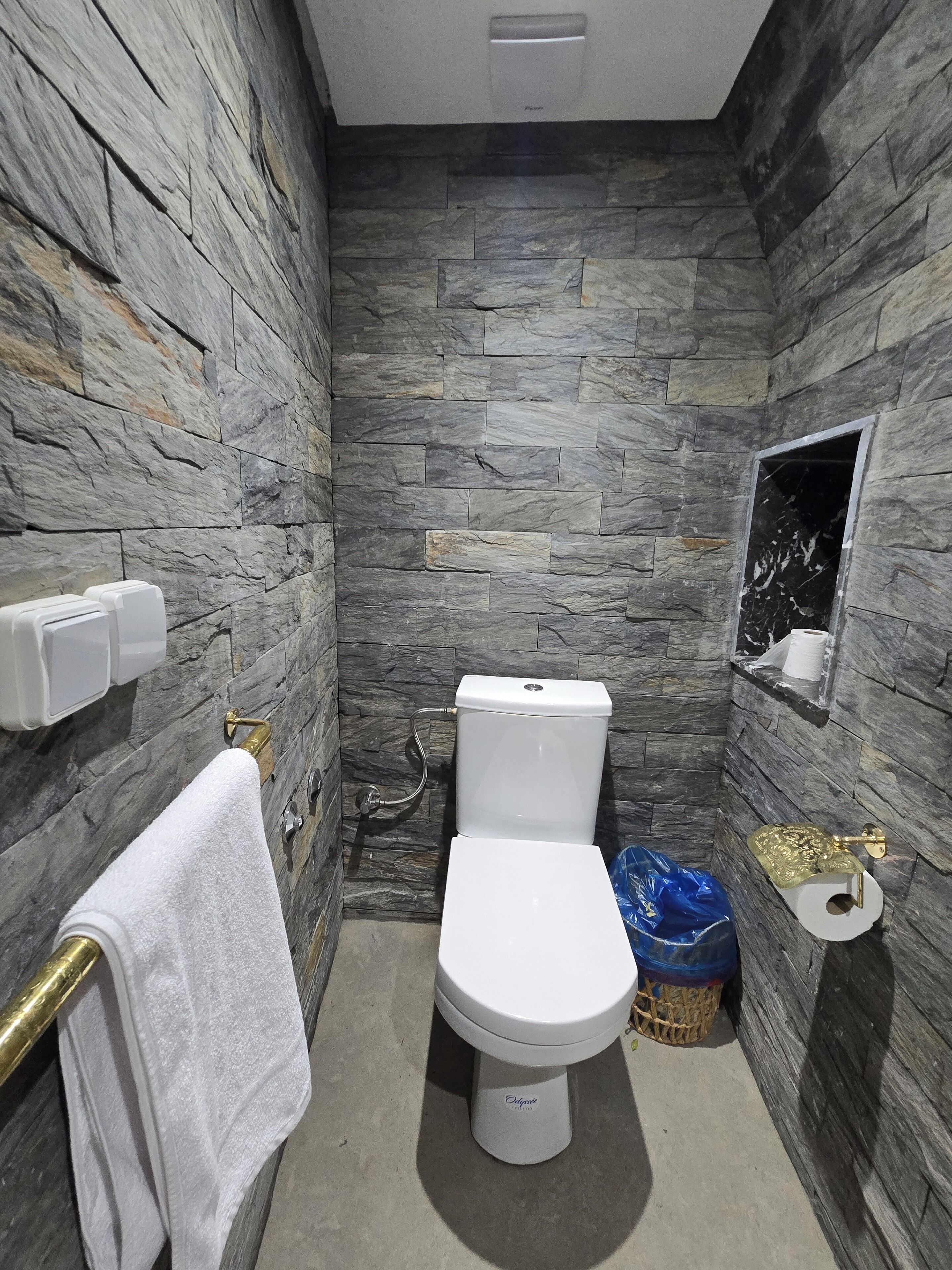 Une salle de bain avec un mur en pierre, des toilettes, un porte-serviettes et une poubelle.