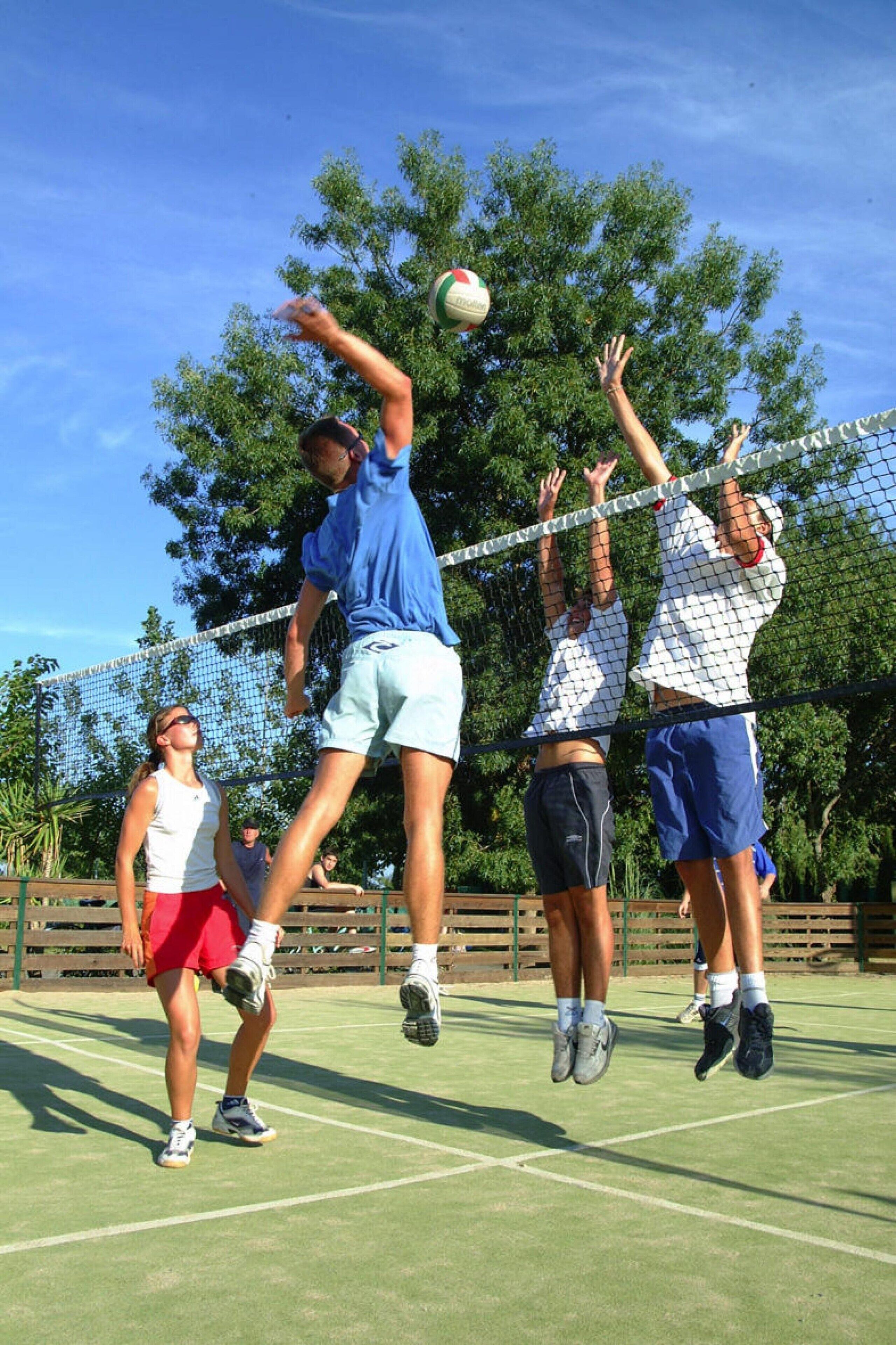 Sport court