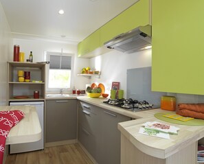 Classic Mobile Home, 2 Bedrooms | Private kitchen | Fridge, microwave, coffee/tea maker