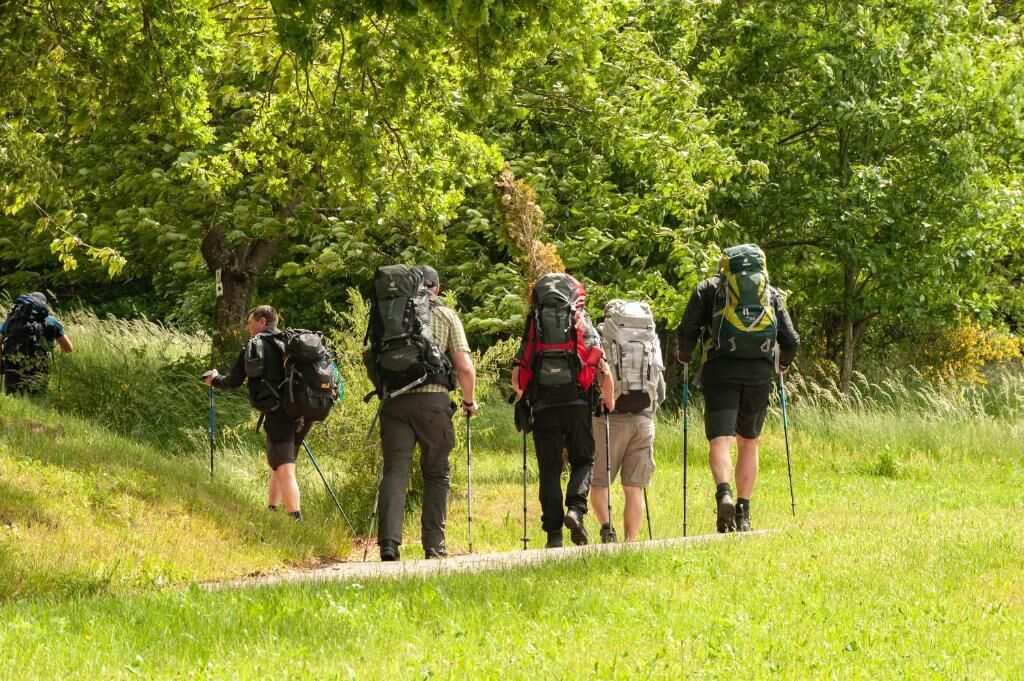 Un grupo de excursionistas caminando por un sendero rodeado de vegetación.