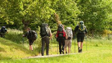 Un grupo de excursionistas caminando por un sendero rodeado de vegetación.