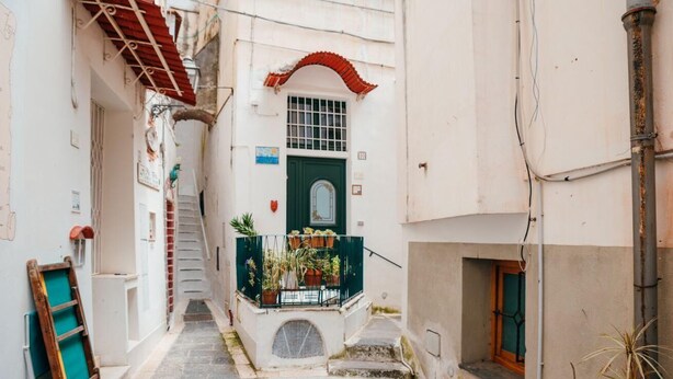 A narrow street with a staircase leading to a building with a green door and a balcony with potted plants. - rita's house (Atrani)
