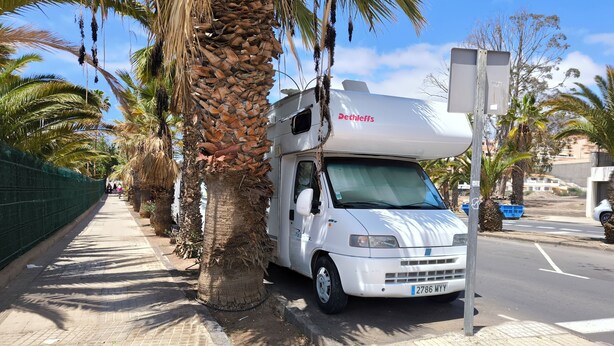 A white RV parked on a paved sidewalk with palm trees and a clear sky in the background.