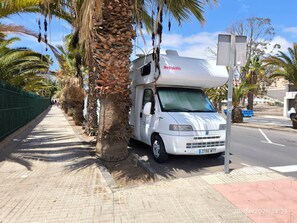 Uma motorhome branca estacionada num passeio pavimentado, com palmeiras e um céu claro ao fundo.