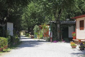 Classic Karavan, 2 Yatak Odası | Bahçe