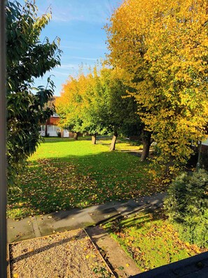 Property grounds - Bright & Modern 3 Bed Home with Garden in Farnham (Farnham)