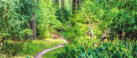 Overnattingsstedets uteområder