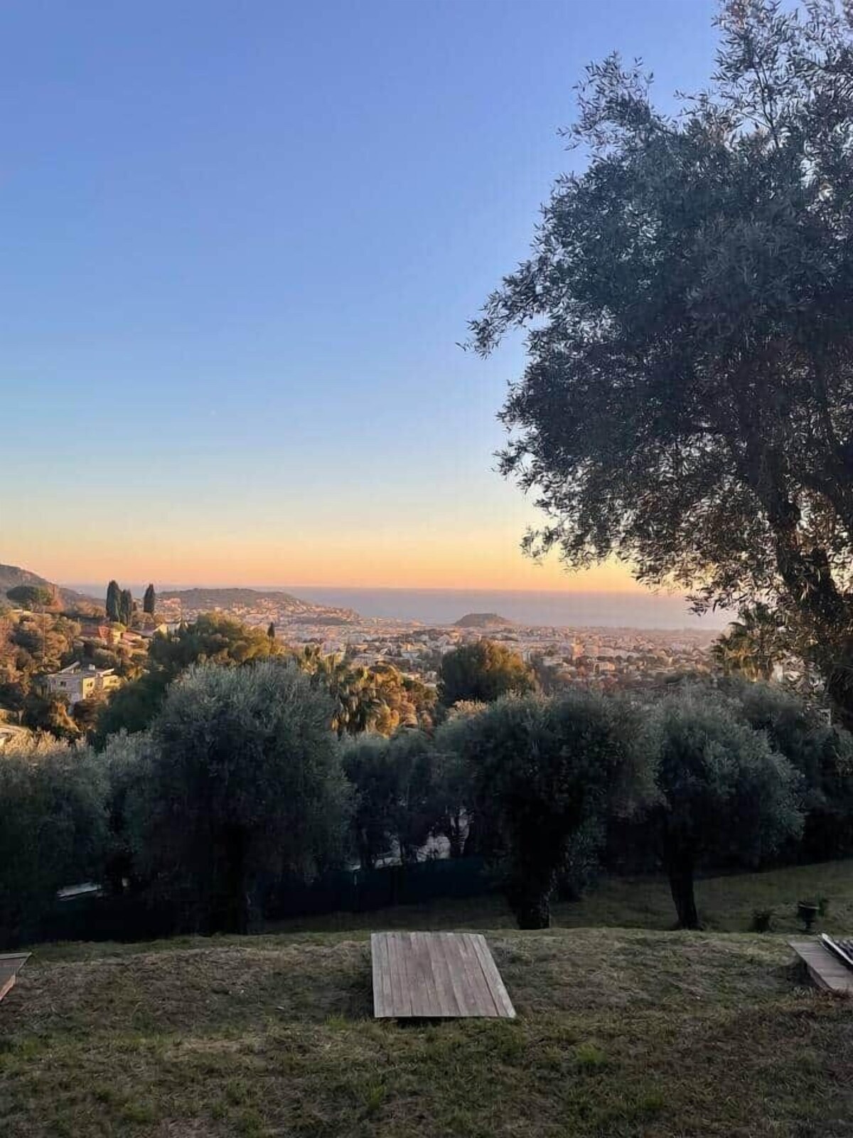 オーナーのプロフィール画像