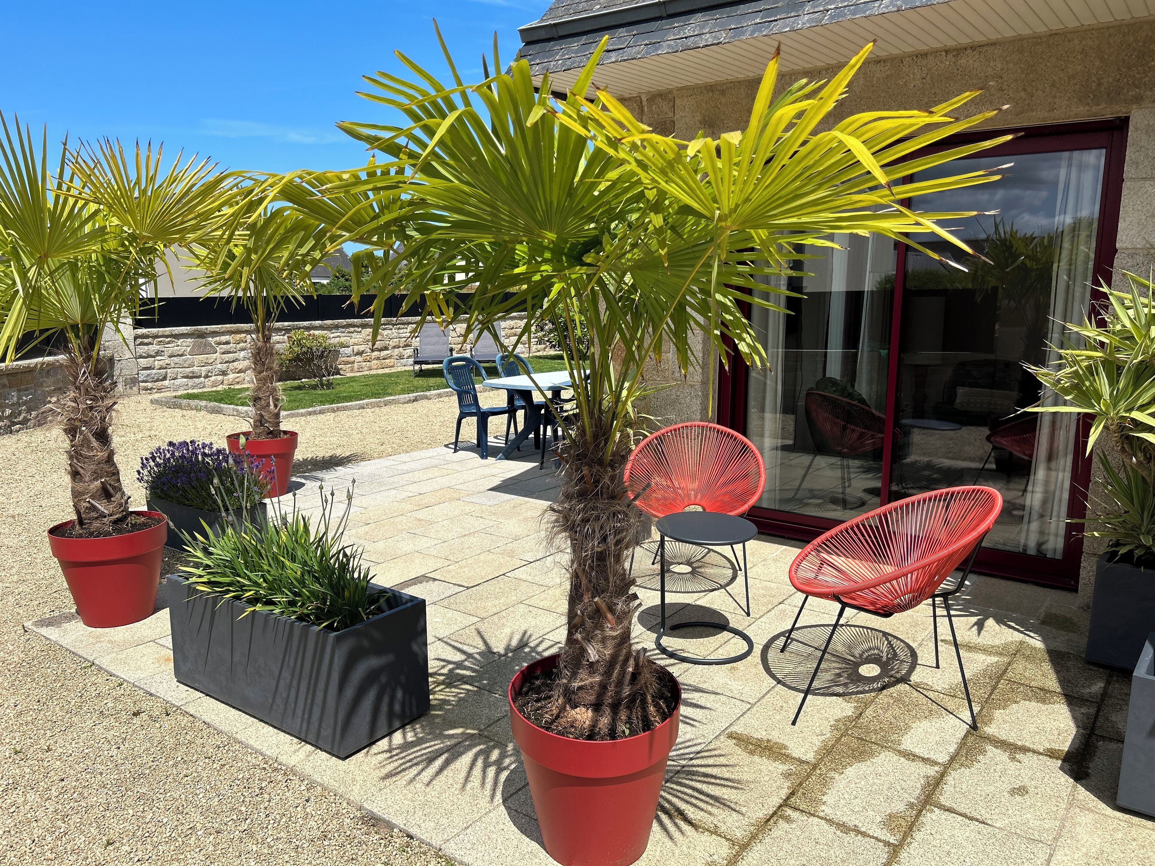 Un espace patio agrémenté de plantes en pot, de meubles d’extérieur et d’un mur de pierre en arrière-plan.