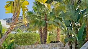 A stone wall with a statue, surrounded by tropical plants and a pool area. - VILLA EOS luxury villa in a quiet location (Xàbia)