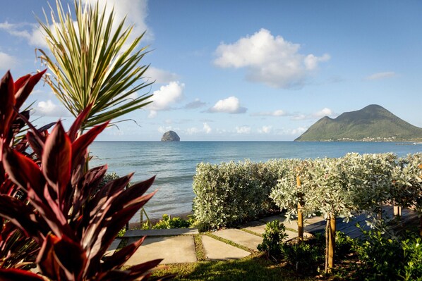 A coastal landscape with a mountain, a body of water, and a garden area with plants and a pathway.